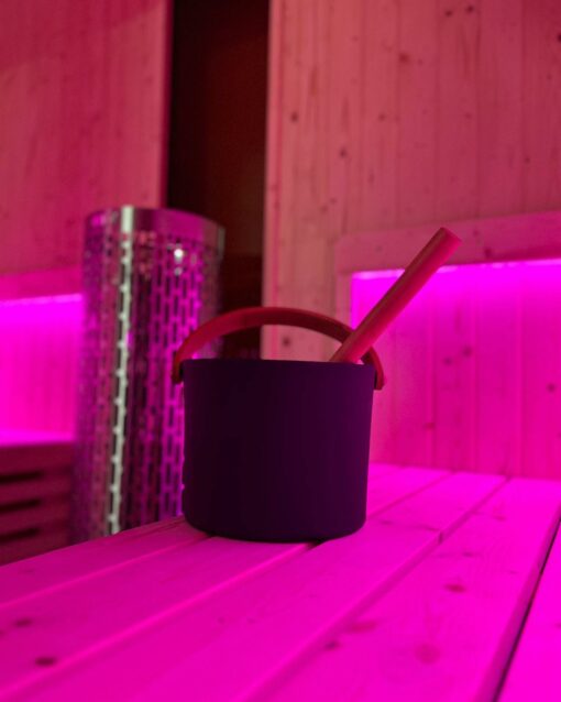 MS5000Q Outdoor Sauna image 2